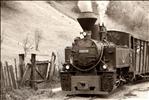 Mocanita, the hundred year old steam engine